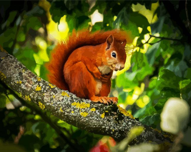 Red Squirrel On Tree paint by number
