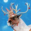 Reindeer And Rabbit paint by numbers