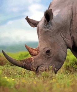 Rhinoceros Animal paint by numbers