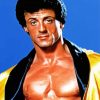 Rocky Balboa By Sylvester Stallone paint by number
