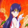 Sailor Moon Mars Anime paint by numbers