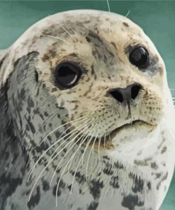 Cute Seal Face Animal paint by numbers