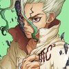 Senku Ishigami Dr Stone Anime paint by numbers