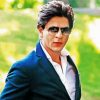 Shahrukh khan paint by numbers