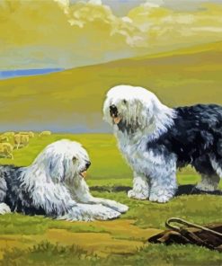 Sheepdogs Art paint by number