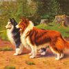 Two Shelties Dog paint by numbers