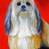 Shih Tzu Dog Art paint by number