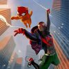 Spider Man And Spider Cat Animation paint by numbers