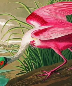Spoonbill Art paint by numbers