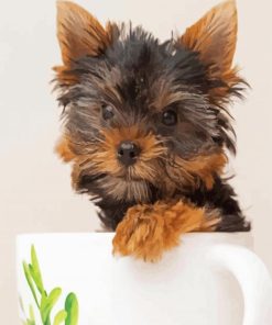 Teacup Yorkie paint by number