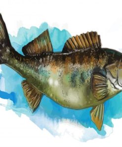 The Walleye Fish Art paint by number