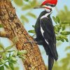 The Woodpecker Bird paint by number