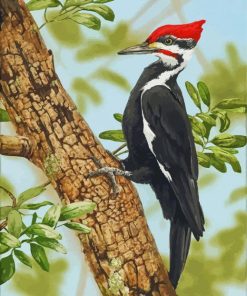The Woodpecker Bird paint by number