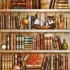 Tidy Vintage Bookcase paint by number