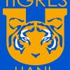 Tigres Uanl paint by number