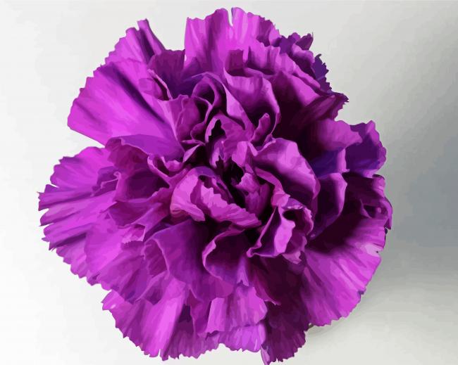 Violet Carnation paint by number