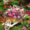 Wheelbarrow Full Of Flowers paint by number