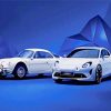 White Alpine Cars paint by number