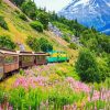 White Pass & Yukon Route Railway Alaska paint by numbers