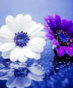 White And Purple Daisy Raindrop paint by numbers