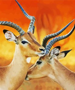 Wild Impalas paint by numbers