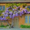 Wisteria Flowers In Wall paint by numbers