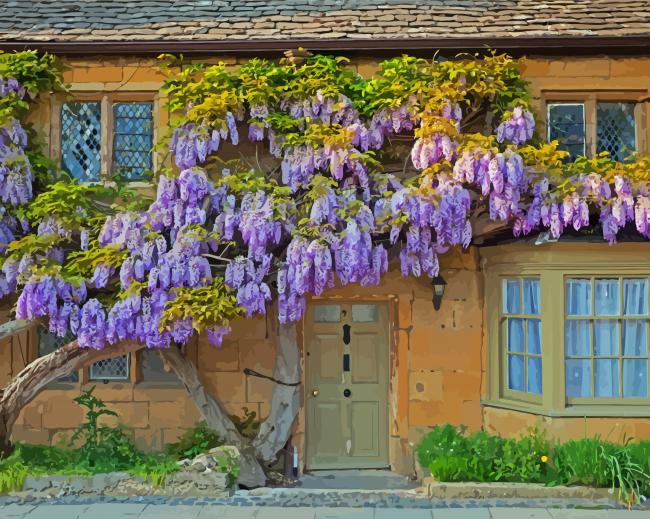 Wisteria Flowers In Wall paint by numbers