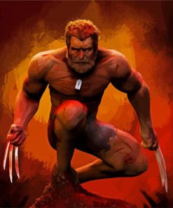 Wolverine Logan paint by number