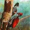 Woodpecker Birds paint by number