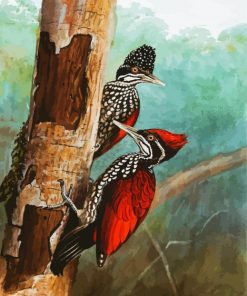 Woodpecker Birds paint by number