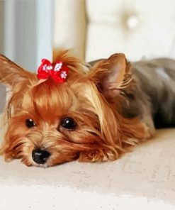 Yorkie Dog With A Tie paint by numbers