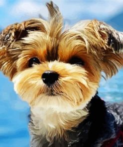 Yorkshire Terrier In The Mountains paint by numbers
