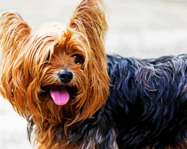 Happy Yorkshire Terrier Puppy paint by numbers