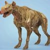 Zombie Hyena paint by number
