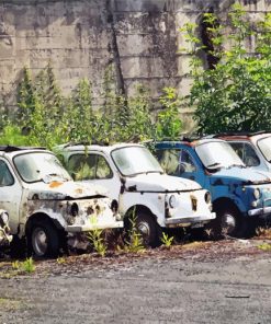 Abandoned Vintage Fiat Cars paint by numbers