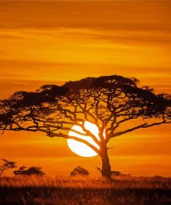Acacia Tree Silhouette At Susnet paint by numbers