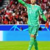 Manuel Neuer Sport paint by numbers