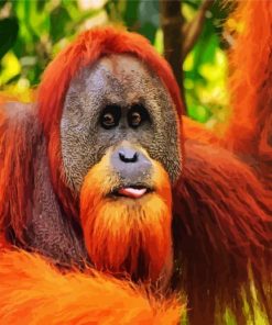 Aesthetic Orangutan paint by number