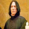 Professor Severus Snape Harry Potter paint by numbers