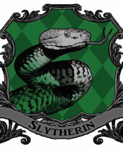 Slytherin Harry Potter paint by numbers