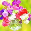 Sweetpea Colorful Flowers paint by numbers
