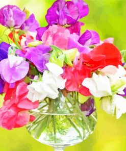 Sweetpea Colorful Flowers paint by numbers