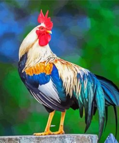 Aesthetic Rooster paint by numbers