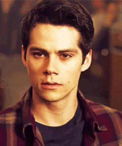 Aesthetic Stiles paint by number