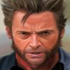 Aesthetic Wolverine paint by number