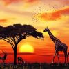 African Animals paint by number