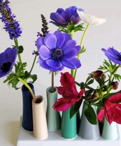 Anemones Flowers Vases paint by number