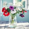 Anemones Flowers In Vase paint by number