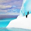 Antarctica Iceberg Penguins paint by numbers
