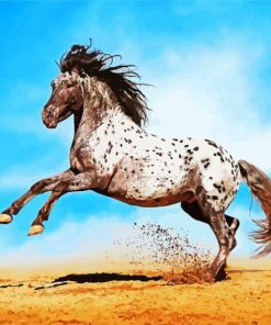 Appaloosa Animal paint by numbers